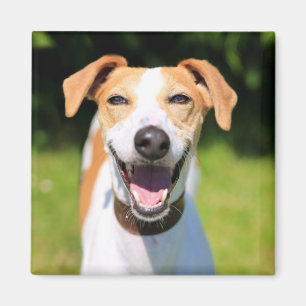 Getty Images Laughing Dog Magnet