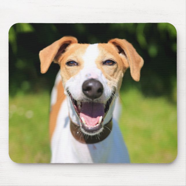 Getty Images | Laughing Dog Mouse Pad (Front)