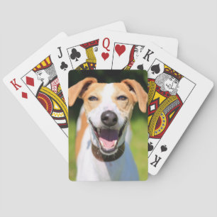 Getty Images   Laughing Dog Playing Cards