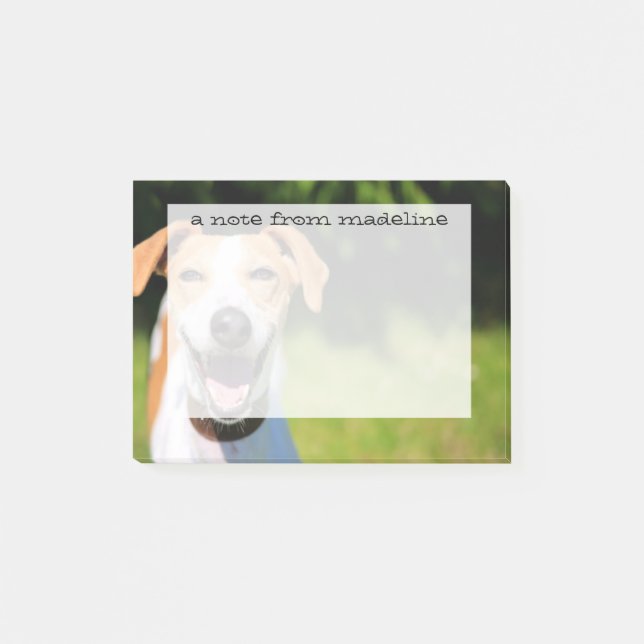 Getty Images | Laughing Dog Post-it Notes (Front)