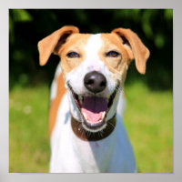 Getty Images | Laughing Dog