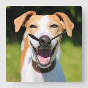 Getty Images   Laughing Dog Square Wall Clock