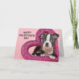 Getty Images Puppy Love Holiday Card