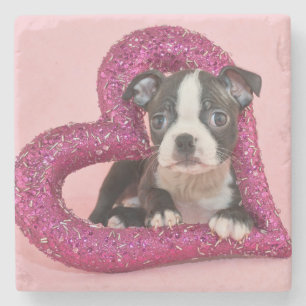 Getty Images Puppy Love Stone Coaster