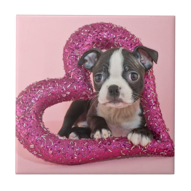 Getty Images | Puppy Love Tile (Front)