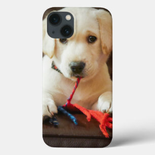 Getty Images   Puppy On A Sofa iPhone 13 Case