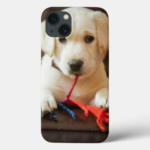 Getty Images Puppy On A Sofa iPhone 13 Case