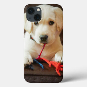 Getty Images Puppy On A Sofa iPhone 13 Case