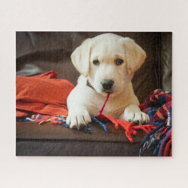 Getty Images | Puppy On A Sofa Jigsaw Puzzle (Horizontal)