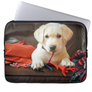 Getty Images Puppy On A Sofa Laptop Sleeve