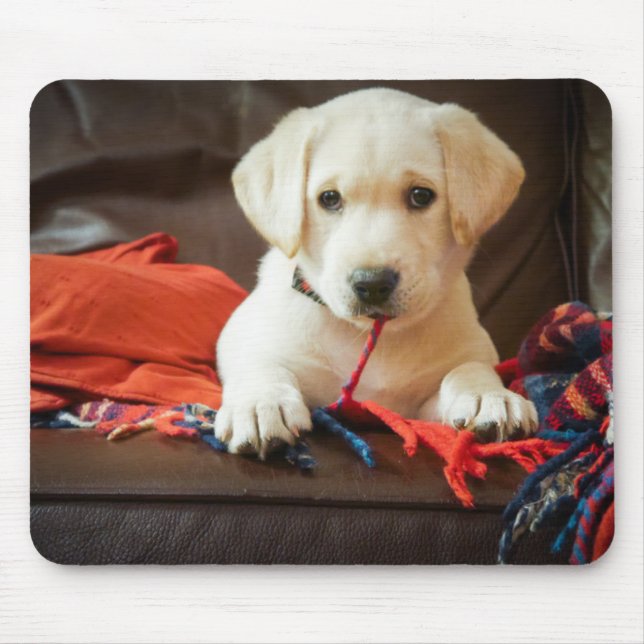 Getty Images | Puppy On A Sofa Mouse Pad (Front)