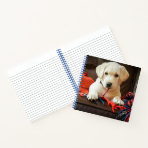 Getty Images   Puppy On A Sofa Notebook