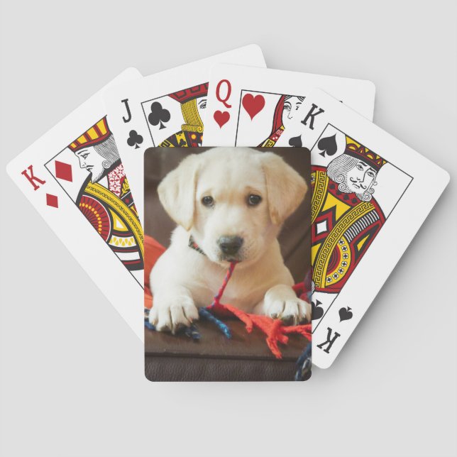 Getty Images | Puppy On A Sofa Playing Cards (Back)