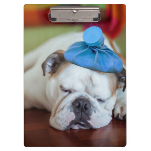Getty Images   Sick Young Puppy Clipboard