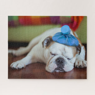 Getty Images Sick Young Puppy Jigsaw Puzzle