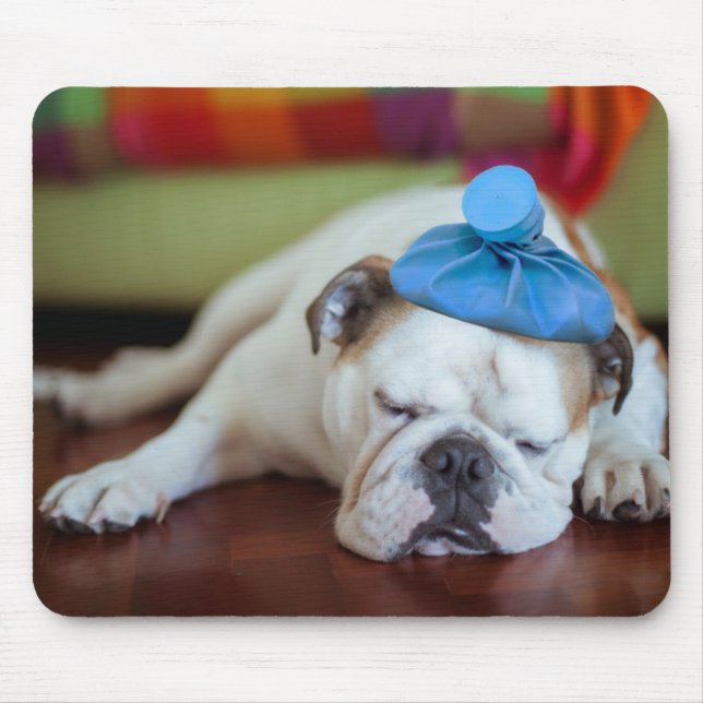 Getty Images | Sick Young Puppy Mouse Pad (Front)