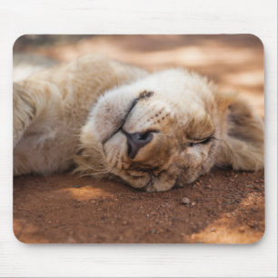 Getty Images   Sleeping Lion Cub Mouse Pad