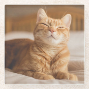 Getty Images   Sleepy Cat Glass Coaster