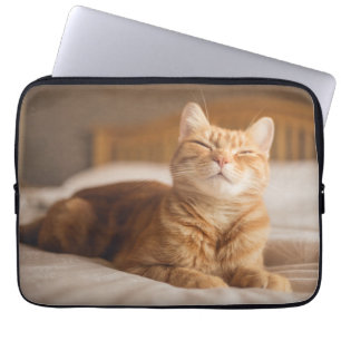 Getty Images   Sleepy Cat Laptop Sleeve