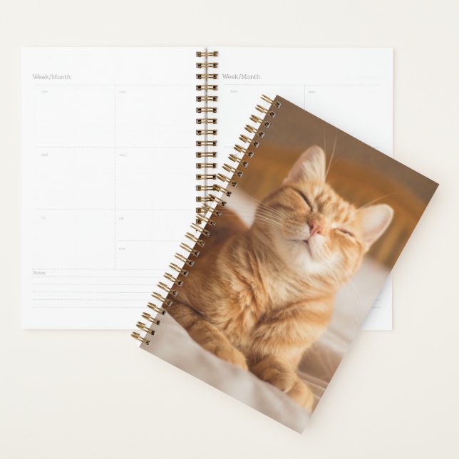 Getty Images | Sleepy Cat Planner (Display)