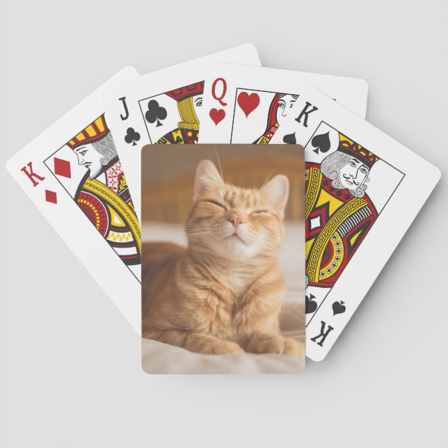 Getty Images | Sleepy Cat Playing Cards (Back)