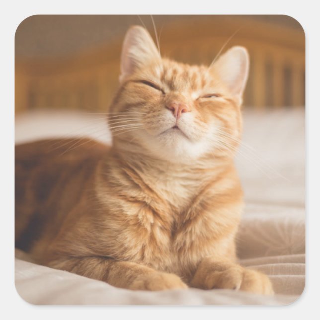 Getty Images | Sleepy Cat Square Sticker (Front)
