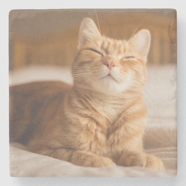 Getty Images | Sleepy Cat Stone Coaster (Front)