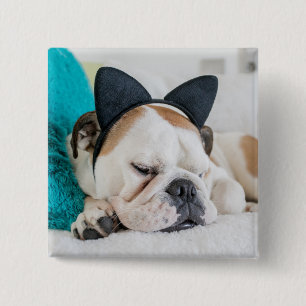 Getty Images   Sleepy Dog with Cat Headband 15 Cm Square Badge