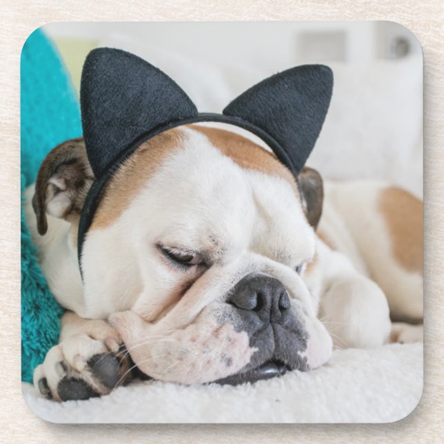 Getty Images | Sleepy Dog with Cat Headband Coaster (Front)