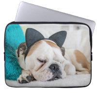 Getty Images | Sleepy Dog with Cat Headband