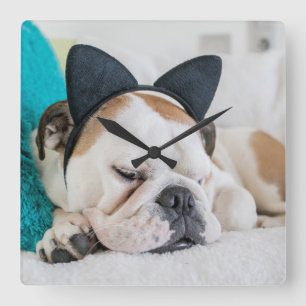 Getty Images Sleepy Dog with Cat Headband Square Wall Clock