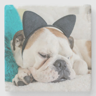Getty Images Sleepy Dog with Cat Headband Stone Coaster