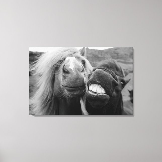 Getty Images | Smiling Horses Canvas Print (Front)