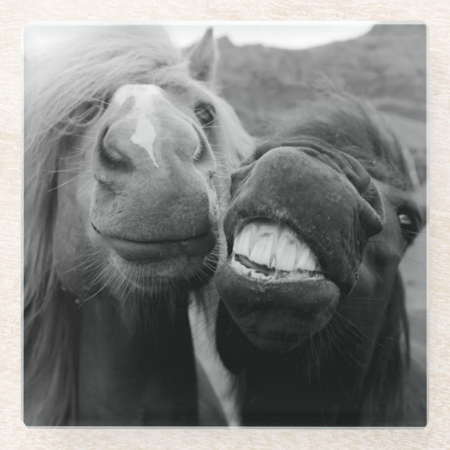 Getty Images | Smiling Horses Glass Coaster (Front)