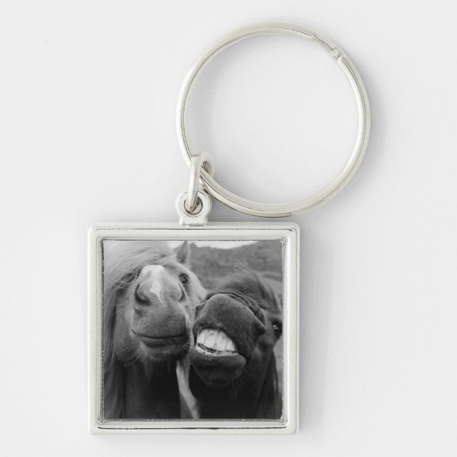 Getty Images | Smiling Horses Key Ring (Front)