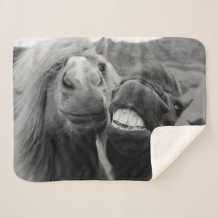 Getty Images   Smiling Horses Sherpa Blanket