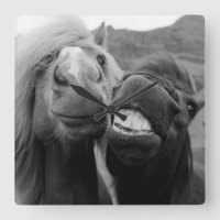 Getty Images | Smiling Horses