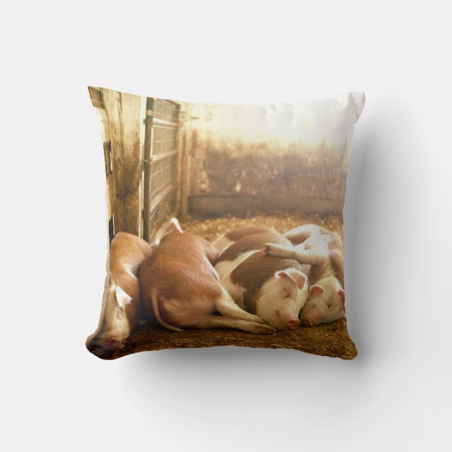 Getty Images | Snuggling Pigs Cushion (Front)