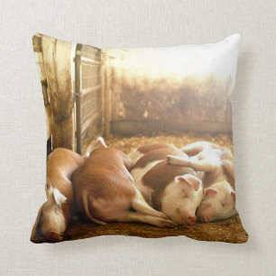 Getty Images Snuggling Pigs Cushion