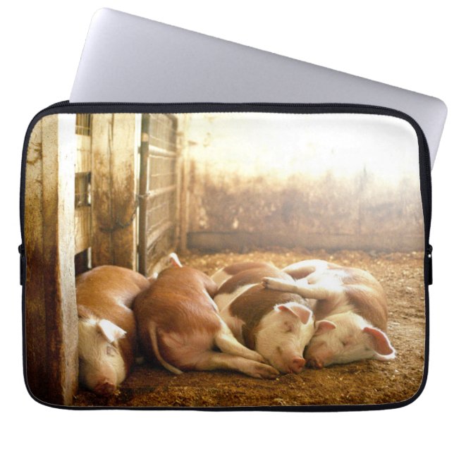 Getty Images | Snuggling Pigs Laptop Sleeve (Front)