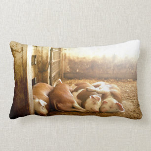Getty Images   Snuggling Pigs Lumbar Cushion