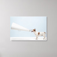 Getty Images | Speaking Dog