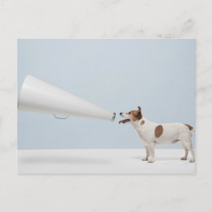 Getty Images Speaking Dog Postcard