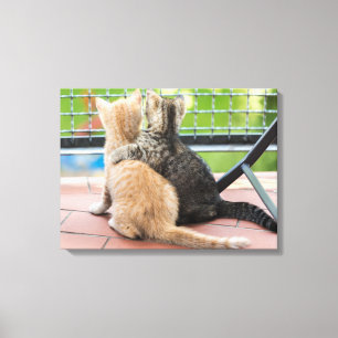 Getty Images   Two Kittens on a Balcony Canvas Print