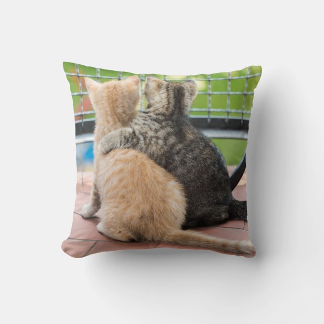 Getty Images | Two Kittens on a Balcony Cushion (Front)