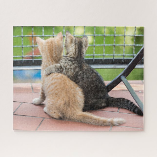 Getty Images | Two Kittens on a Balcony Jigsaw Puzzle (Horizontal)