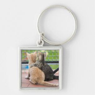 Getty Images Two Kittens on a Balcony Key Ring