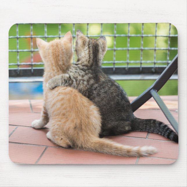 Getty Images | Two Kittens on a Balcony Mouse Pad (Front)