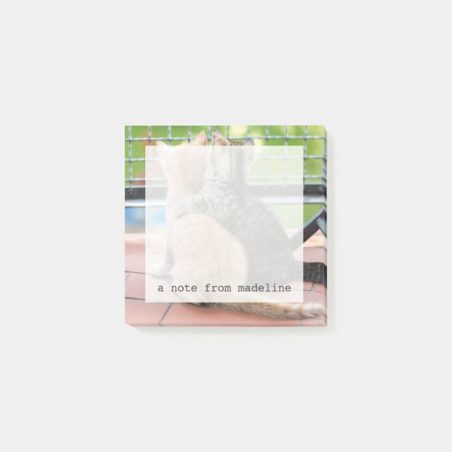 Getty Images | Two Kittens on a Balcony Post-it Notes (Front)