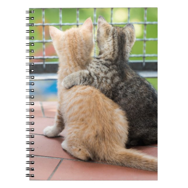Getty Images | Two Kittens on a Balcony Spiral Notebook (Front)
